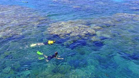 A Guide To Snorkelling The Great Barrier Reef For Non Swimmers