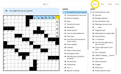 The Puzzle Of Persistence Rexs Journey With A Difficult Jigsaw Puzzle