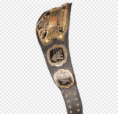 Roh World Tag Team Championship Wwe Smackdown Tag Team Championship Wwe
