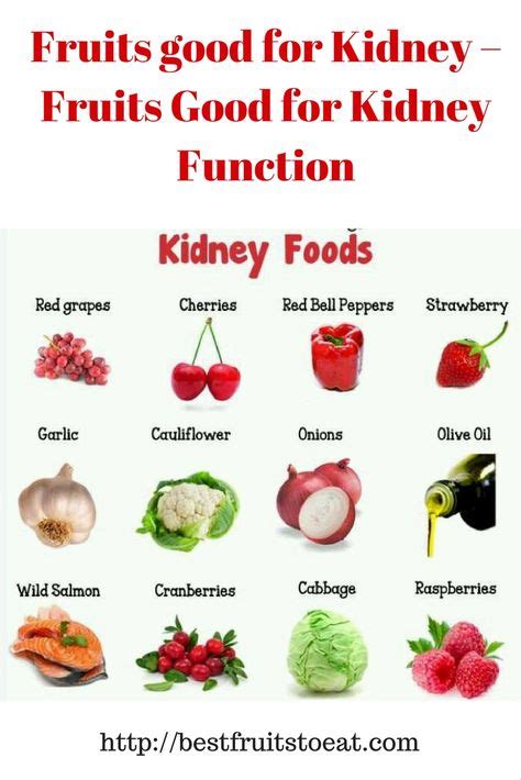 Fruits Good For Kidney Fruits Good For Kidney Function Healthy