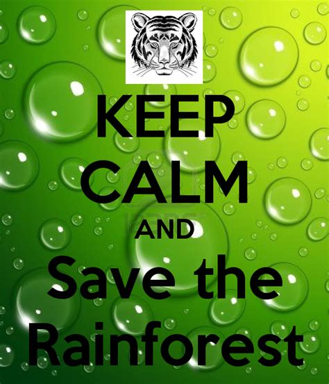 Save The Rainforest Quotes Quotesgram