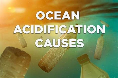 What Are The Causes Of Ocean Acidification Earth Reminder