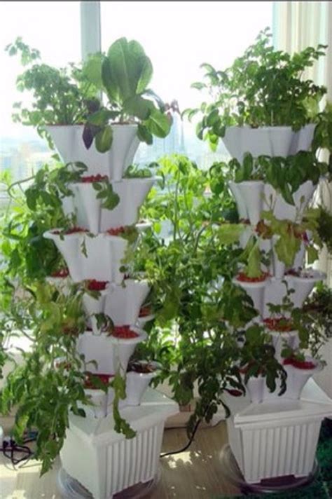 Best Vertical Hydroponic Gardening Systemsvideo Vertical Vegetable