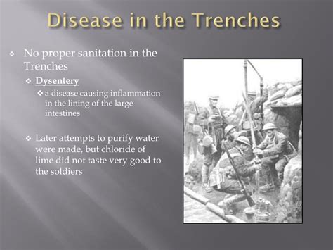 Ppt Trench Warfare Powerpoint Presentation Free Download Id6867592