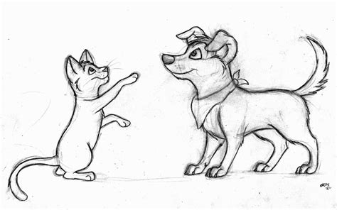 Cat And Dog Sketch At Explore Collection Of Cat