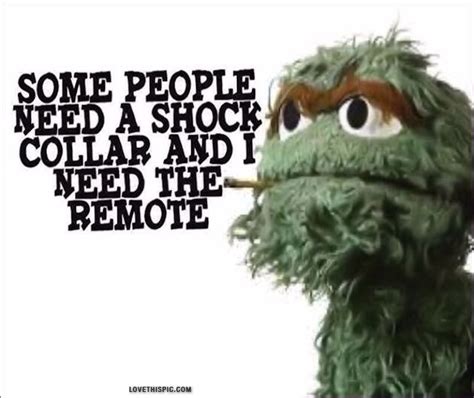 Oscar From Sesame Street Images Quotes Quotesgram