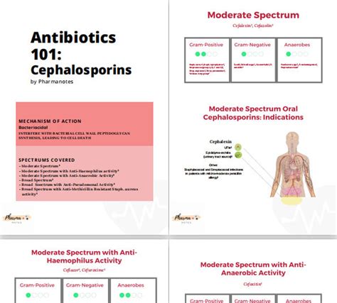 Antibiotics 101 Cephalosporins Notes For Medical Etsy
