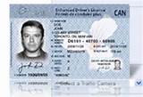 Ontario Drivers License Record Photos