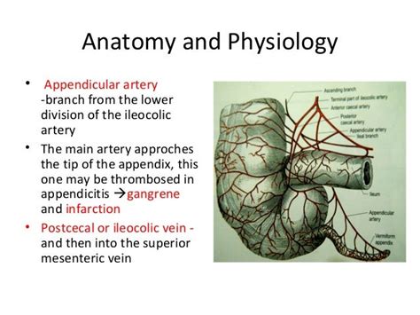 Appendix