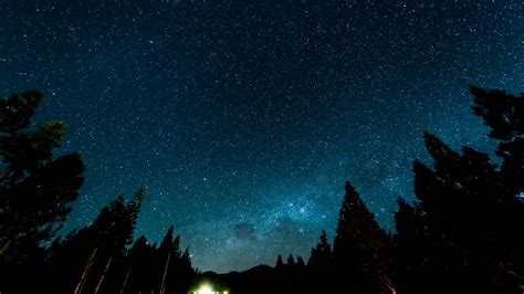 Wallpaper Starry Sky Night Stars Forest Nebula Hd