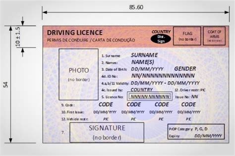 South Africa’s New Driving Licence Cards — What To Expect Juicetel