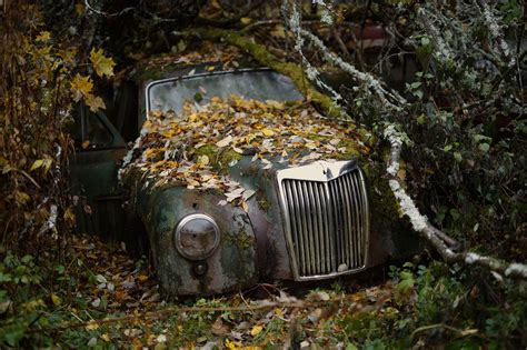 Abandoned Car In The Woods Pics