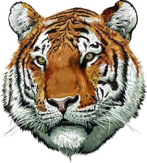 Tiger Head Png Free Png Images Download