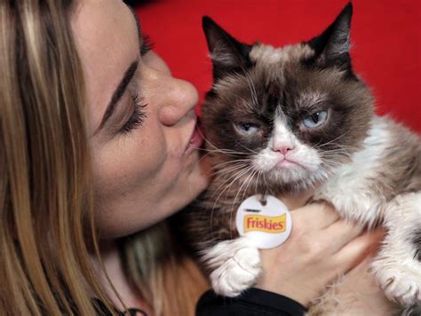 Grumpy Cat Owner Awarded Over 700000 In Copyright Lawsuit But Cat