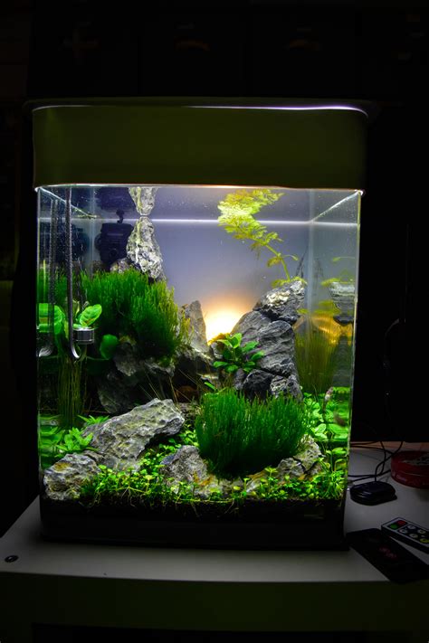 Obviously there are thousands of ways to do this so this is just an example. my 30l Nano Cube - you like it ? : Aquascape