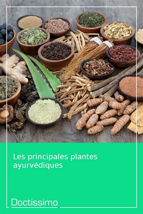 Les Principales Plantes Ayurvédiques Doctissimo Medecine