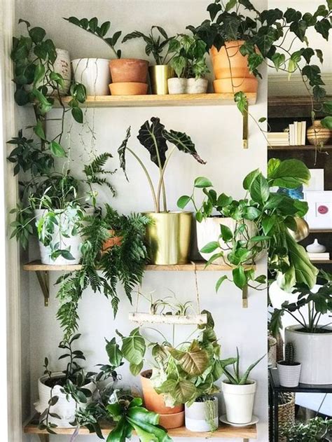 39 Unique Small Indoor Plants Design Ideas For Tiny House Small
