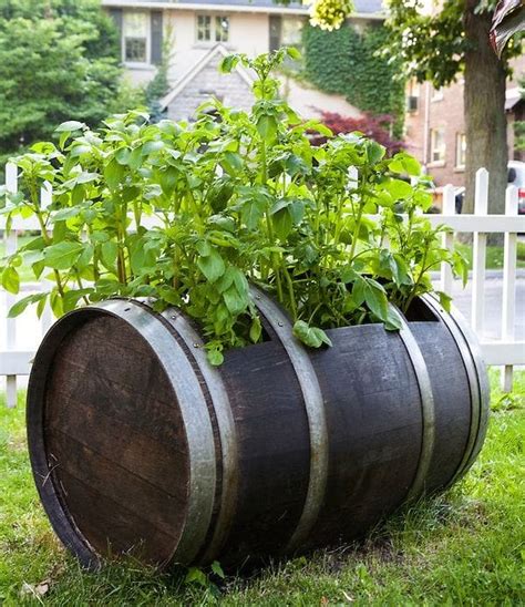 10 Ways To Reuse Old Wine Barrels For Outdoor Areas Genmice
