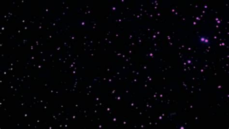 Violet Purple Particles Falling On Black Stock Footage Video 100 Royalty Free 1021293898