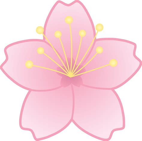 Cherry Blossom Cliparts A Beautiful Addition To Your Designs