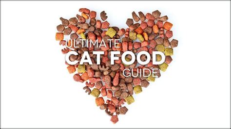 Is your cat food on our list? Best Wet And Dry Cat Food: The Ultimate Guide w/ Vet ...