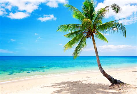 Tropical Beach Wallpapers Pictures Images