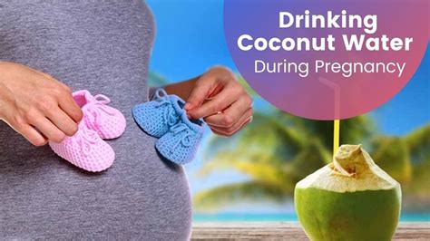Drinking Coconut Water During Pregnancy Well Being Scan Clinic