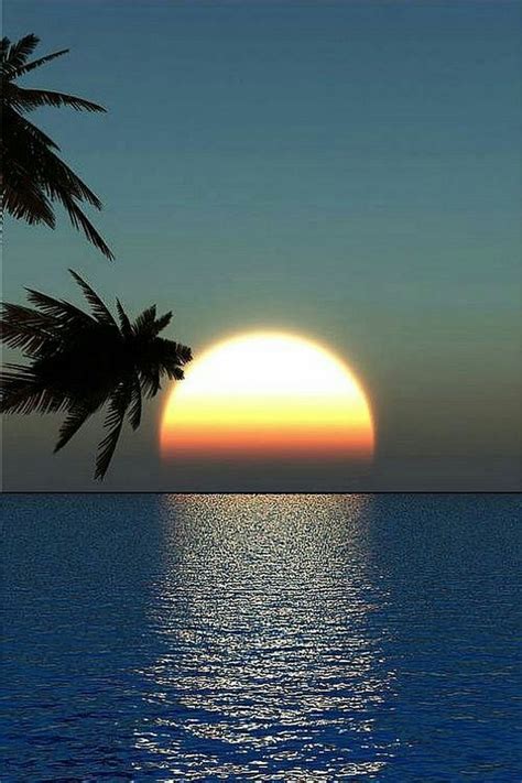 the sun is setting over the ocean with two palm trees in front of it