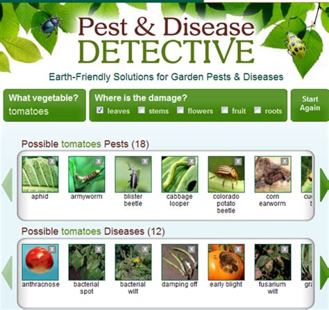 How To Investigate The Pestsdiseases Attacking Your Plants