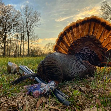 Mississippi/Kansas Turkey Hunt - The Hunt Exchange