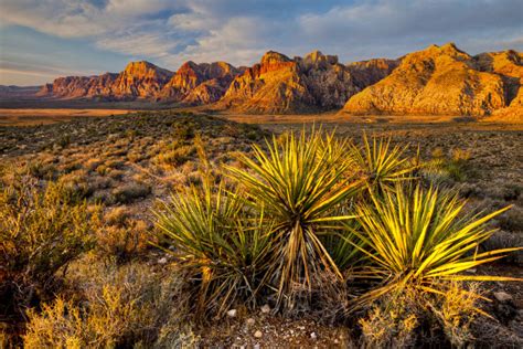 10 Nevada Towns With Breathtaking Scenery