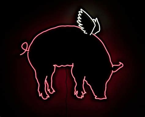 Custom Winged Neon Pig At Let There Be Neonthis Will Be In My House