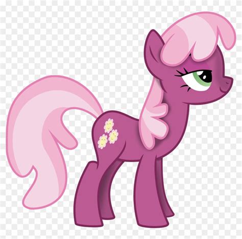 Flower Names 2018 Pink My Little Pony With Flowers My Little Pony