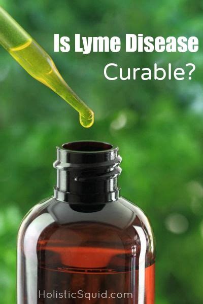 Is Lyme Disease Curable Essential Oils Work Clary Sage Essential