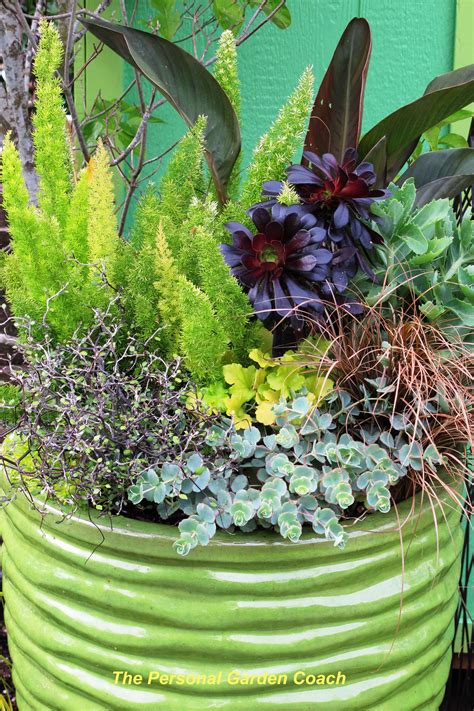 Container Gardens For The Midwest Artofit