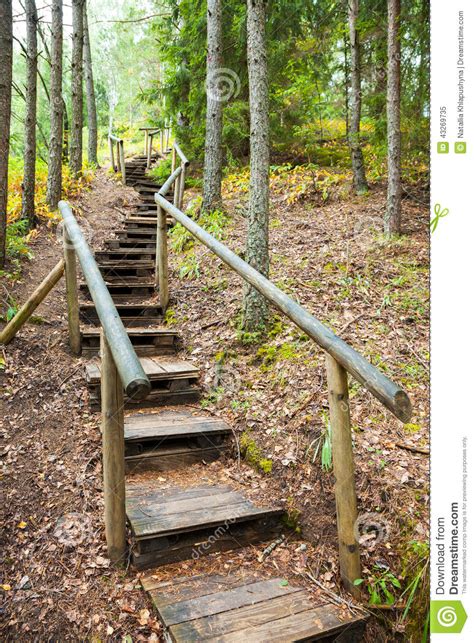 Stairway To Mountains Forest Nature Trail In Reserve Stock Image