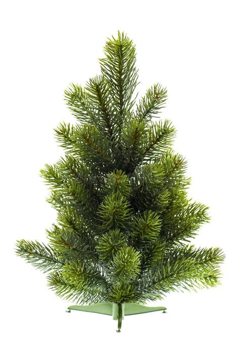 Evergreen Christmas Tree Undecorated On White Stock Image Image 27451911