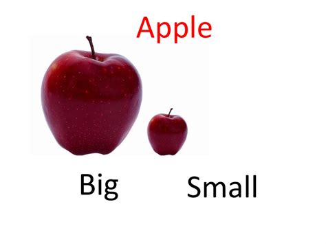 Big Small презентация онлайн