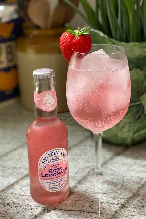 Make This Gorgeous Pink Gin Spritz Cocktail At Home Recipe
