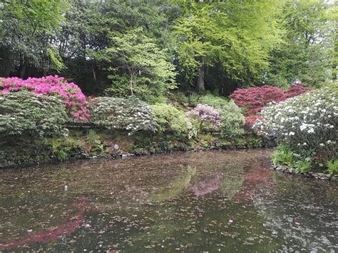 Johnston Gardens Aberdeen 2020 All You Need To Know Before You Go