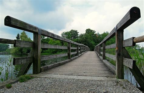 Free Images Nature Wood Track Perspective Walkway Transport