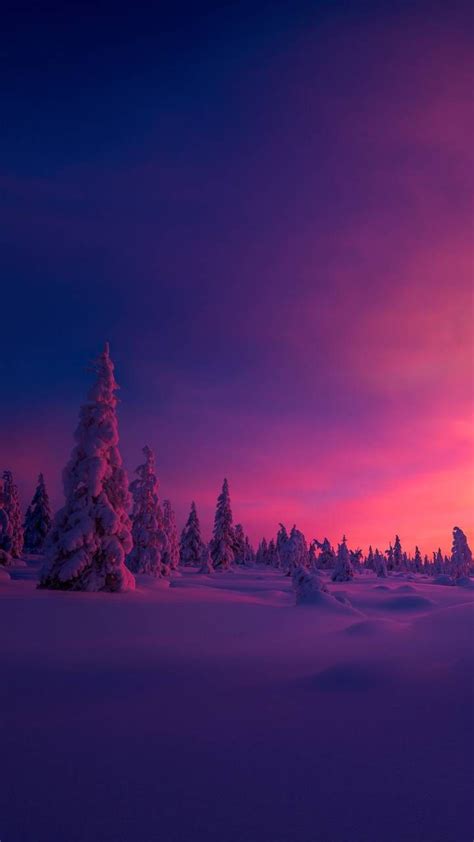 Winter Sunset Wallpapers 4k Hd Winter Sunset Backgrounds On Wallpaperbat