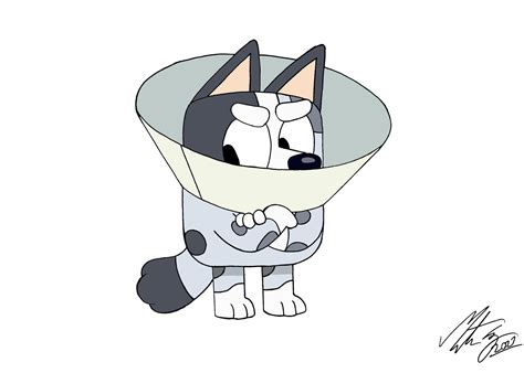 Bluey Muffin And The Cone Of Shame By Morteneng21 On Deviantart