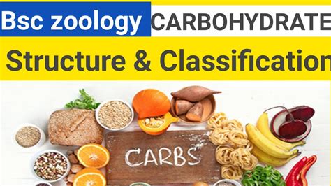 Classification Of Carbohydrates Bsc Zoology Monosaccharide