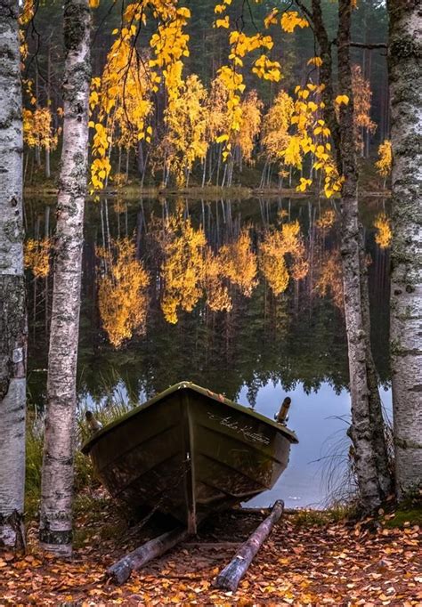 Finland Asko Kuittinen Autumn Landscape Beautiful Nature Nature