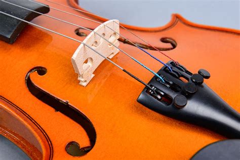 Parts Of The Violin And Their Function