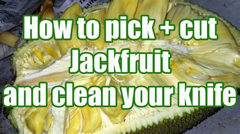 How To Pick And Cut Up A Jackfruit Plus My Knife Cleaning Technique