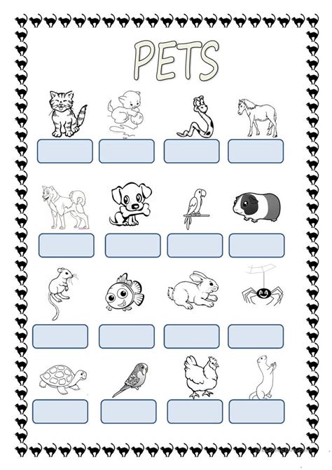 Find Colour And Count Pets Worksheet Free Esl Printable Pets