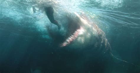It seems that his dream comes true when he and dani are approached by carlton and azra (marsha this is the kind of movie that is best enjoyed by those who want to shut off their brains and stare at. The Meg was REAL: Science behind the 18-metre shark that ...