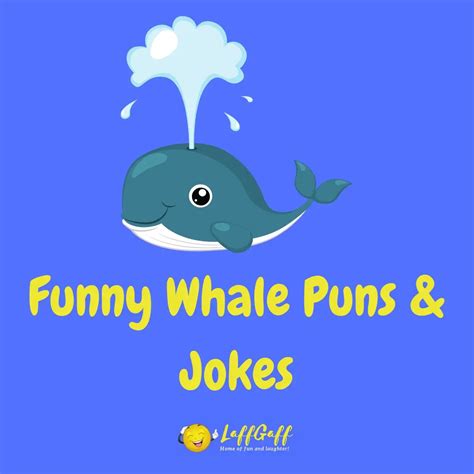 29 Funny Whale Puns And Jokes Laffgaff Home Of Laughter